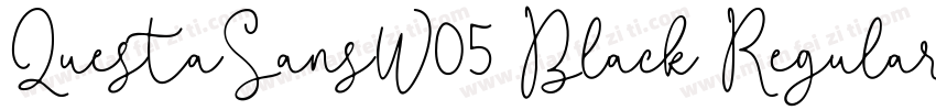 QuestaSansW05 Black Regular字体转换